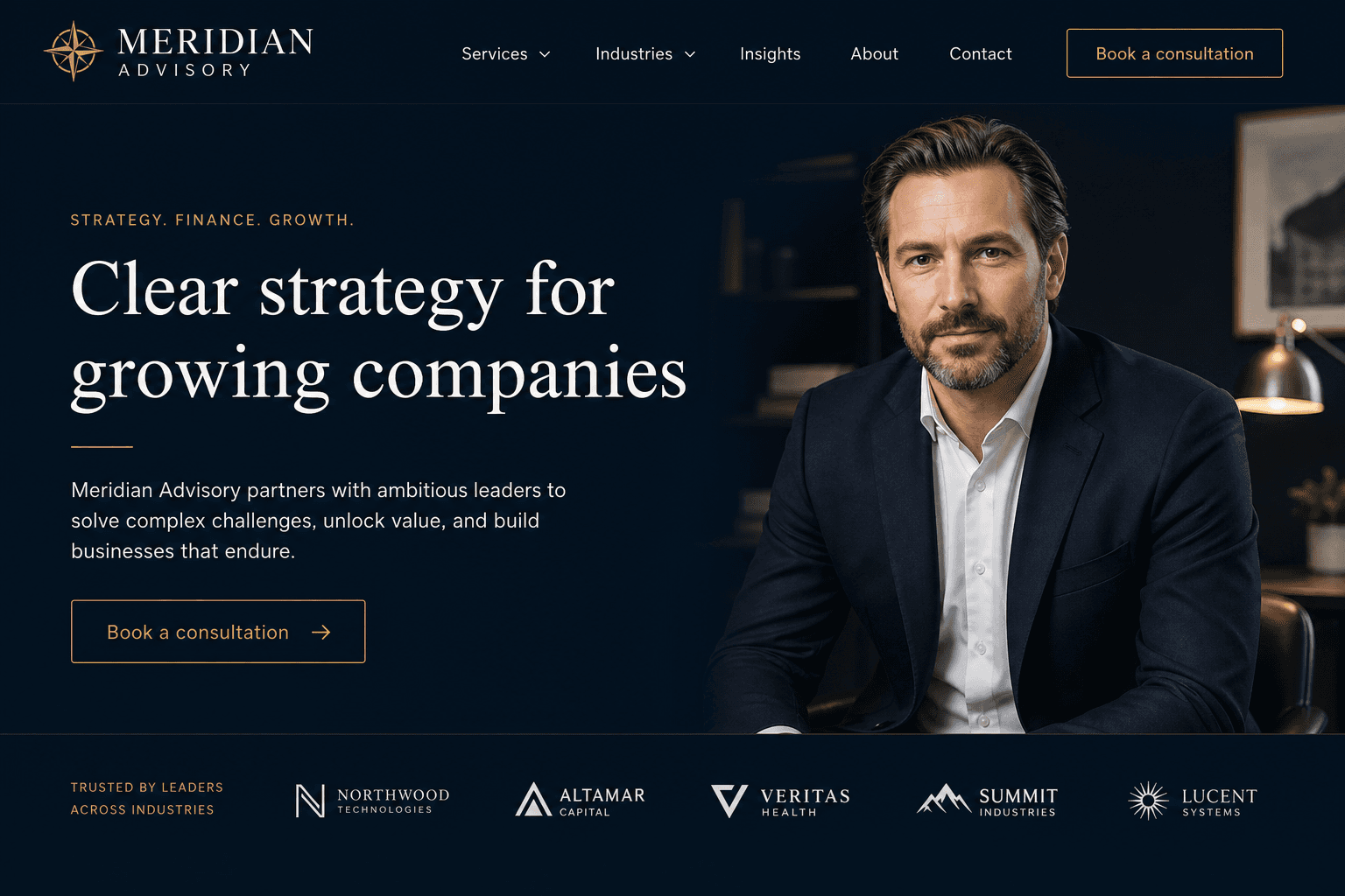 Business consultant website concept preview